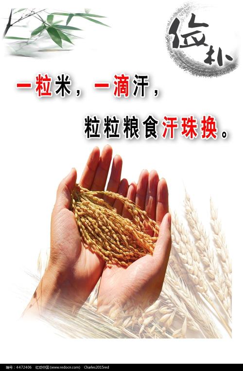 学位证丢失怎么登报